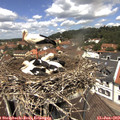 12_30-nest.jpg