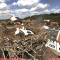 13_10-nest.jpg