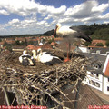 13_30-nest.jpg