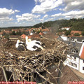 13_45-nest.jpg