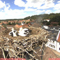 13_55-nest.jpg