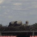 14_05-mast.jpg