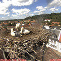14_10-nest.jpg