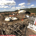 14_15-nest.jpg