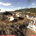 15_40-nest.jpg