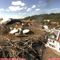 15_55-nest.jpg