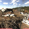 16_05-nest.jpg
