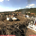 16_35-nest.jpg