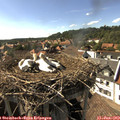 16_45-nest.jpg