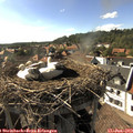 17_10-nest.jpg