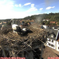17_35-nest.jpg