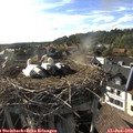18_05-nest.jpg