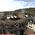 18_10-nest.jpg