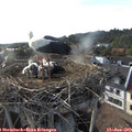 18_25-nest.jpg