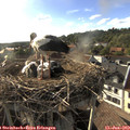 18_30-nest.jpg