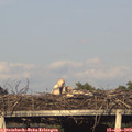 19_05-mast.jpg