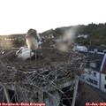 20_45-nest.jpg