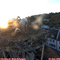 21_10-nest.jpg