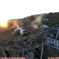 21_15-nest.jpg