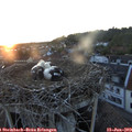 21_20-nest.jpg