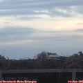 05_20-mast.jpg