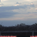 05_25-mast.jpg