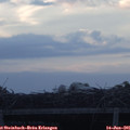 05_30-mast.jpg