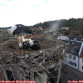 06_00-nest.jpg