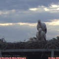 06_05-mast.jpg