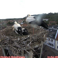 06_05-nest.jpg