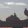 07_35-mast.jpg