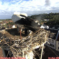 07_45-nest.jpg