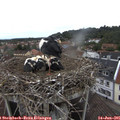 08_50-nest.jpg