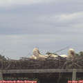 09_05-mast.jpg