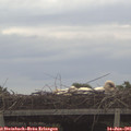 09_20-mast.jpg