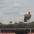 10_35-mast.jpg