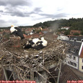 10_55-nest.jpg