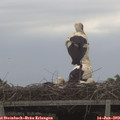 12_45-mast.jpg