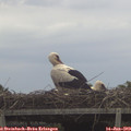13_00-mast.jpg