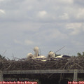 14_05-mast.jpg