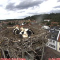 14_10-nest.jpg