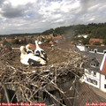 14_20-nest.jpg