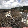 14_25-nest.jpg