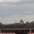 14_35-mast.jpg