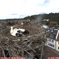 14_45-nest.jpg