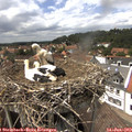 14_50-nest.jpg