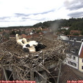 15_00-nest.jpg