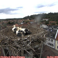15_05-nest.jpg