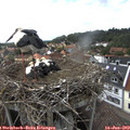 15_45-nest.jpg