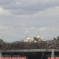 16_30-mast.jpg